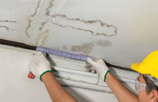 Reliable Water Damage Repair contractor in University Center, VA by Aqua Guard Water Damage